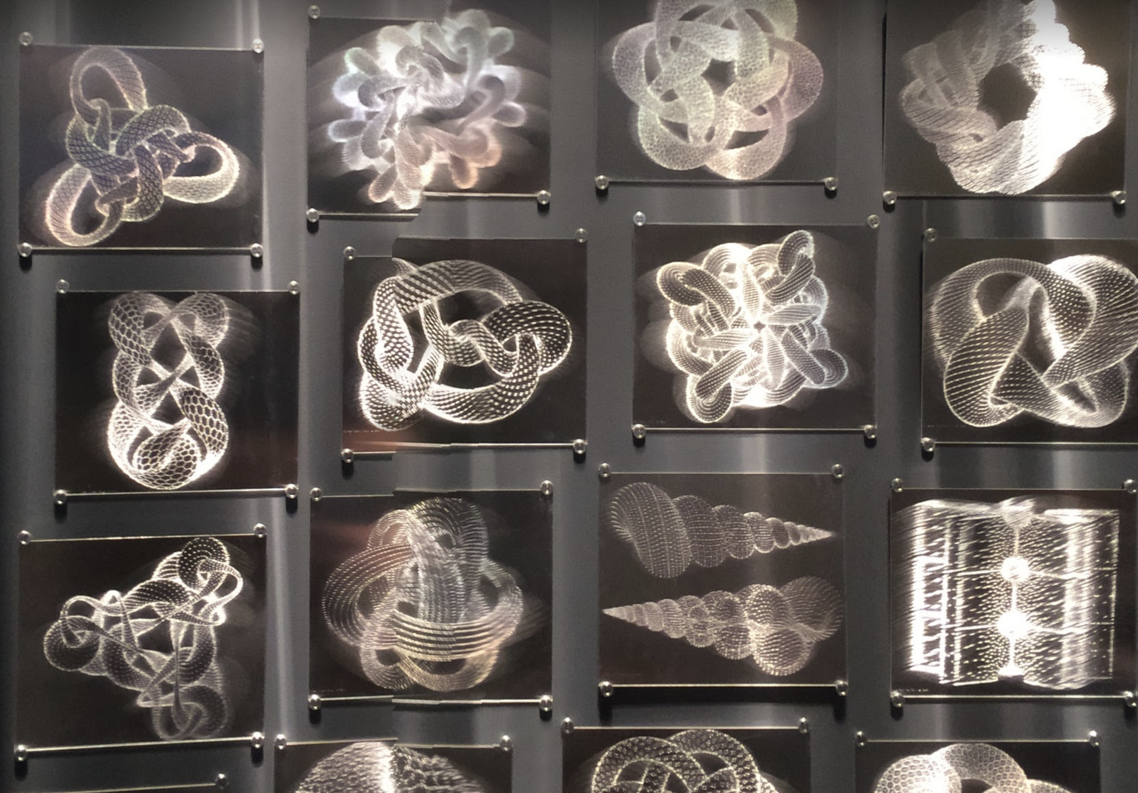 MathCounts Coach Q+A David Bieber